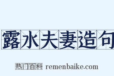 露水夫妻造句是什么意思的图片